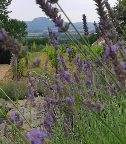 Sarkanyles Vendeghaz מלון *