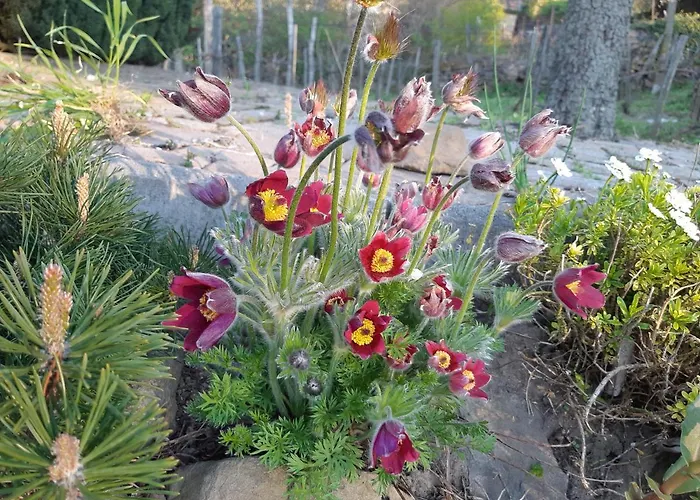 Sarkanyles Vendeghaz מלון Kisapati