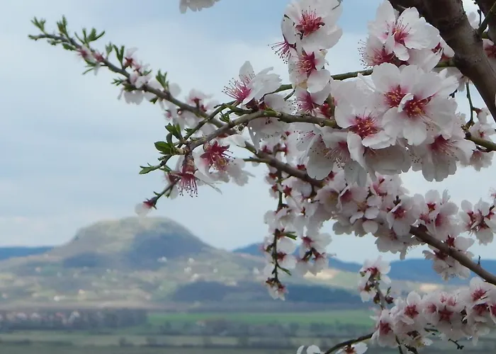 מלון Sarkanyles Vendeghaz