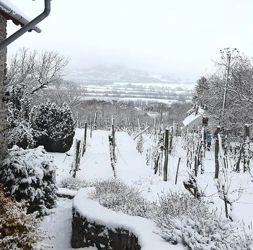 Sarkanyles Vendeghaz Kisapati