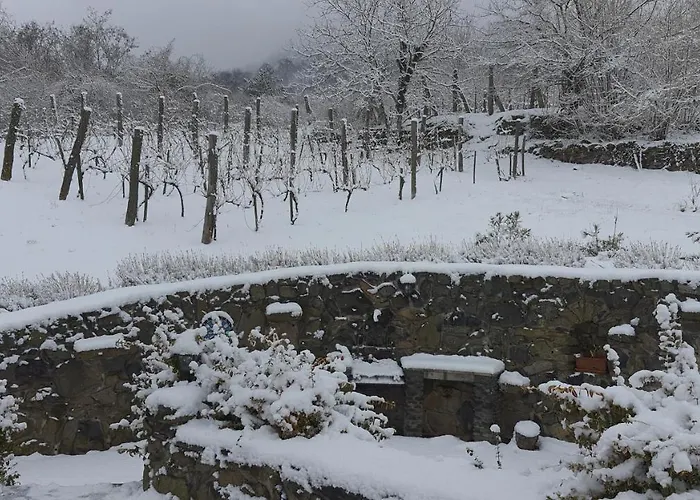 מלון Sarkanyles Vendeghaz