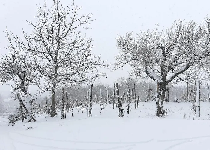 Sarkanyles Vendeghaz Kisapati