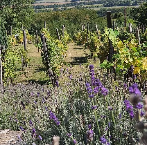 Sarkanyles Vendeghaz מלון